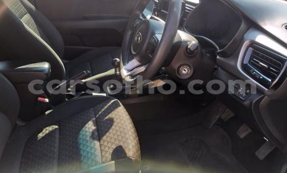 اشتري مستعمل Kia Rio White سيارة في Mafeteng في Mafeteng اشتري مستعمل Kia Rio White سيارة في Mafeteng في Mafeteng