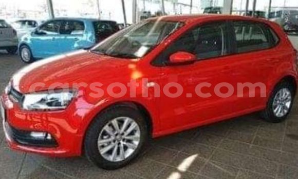 اشتري مستعمل Volkswagen Polo Red سيارة في Butha Buthe في Butha-Buthe اشتري مستعمل Volkswagen Polo Red سيارة في Butha Buthe في Butha-Buthe