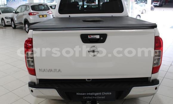 اشتري مستعمل Nissan Navara White سيارة في Mafeteng في Mafeteng اشتري مستعمل Nissan Navara White سيارة في Mafeteng في Mafeteng