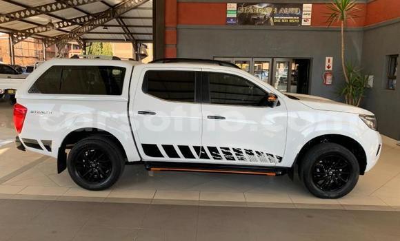 اشتري مستعمل Nissan Navara White سيارة في Maputsoe في Leribe اشتري مستعمل Nissan Navara White سيارة في Maputsoe في Leribe