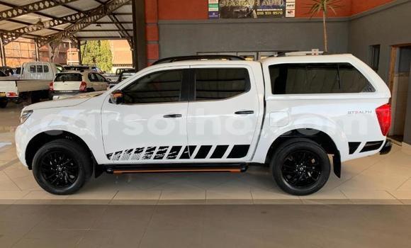 اشتري مستعمل Nissan Navara White سيارة في Maputsoe في Leribe اشتري مستعمل Nissan Navara White سيارة في Maputsoe في Leribe