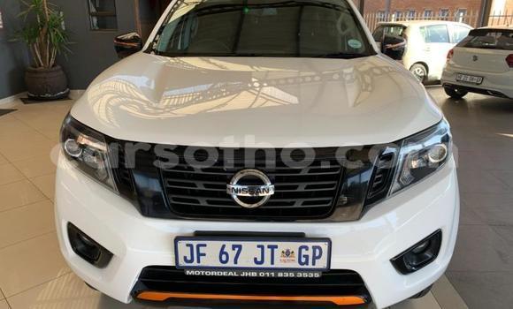 اشتري مستعمل Nissan Navara White سيارة في Maputsoe في Leribe اشتري مستعمل Nissan Navara White سيارة في Maputsoe في Leribe
