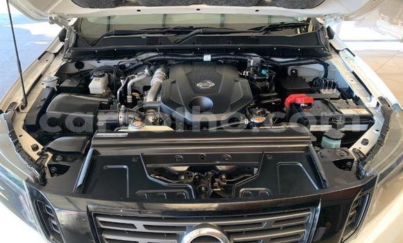 اشتري مستعمل Nissan Navara White سيارة في Maputsoe في Leribe اشتري مستعمل Nissan Navara White سيارة في Maputsoe في Leribe