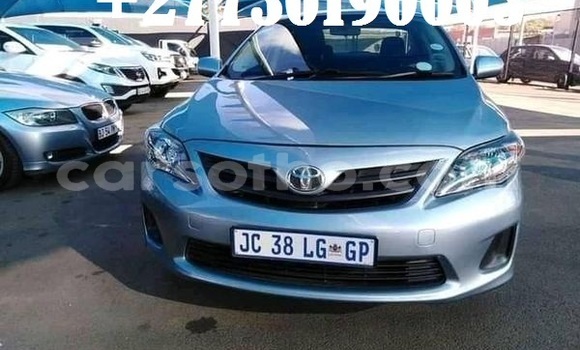 اشتري مستعمل Toyota Corolla Silver سيارة في Maseru في Maseru اشتري مستعمل Toyota Corolla Silver سيارة في Maseru في Maseru