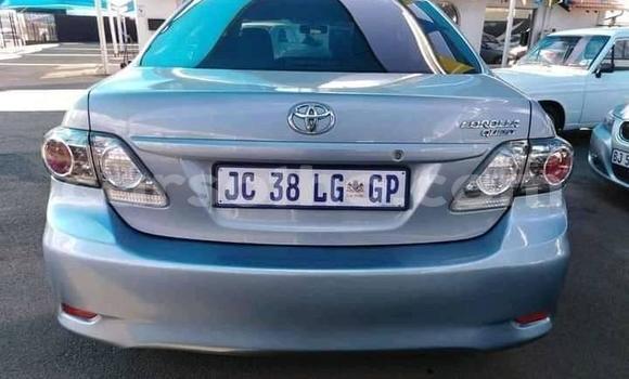 اشتري مستعمل Toyota Corolla Silver سيارة في Maseru في Maseru اشتري مستعمل Toyota Corolla Silver سيارة في Maseru في Maseru