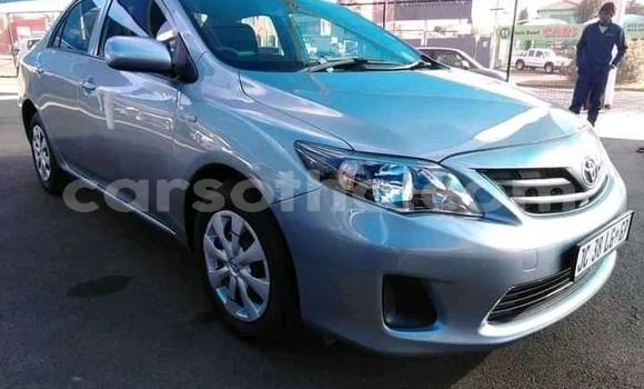 اشتري مستعمل Toyota Corolla Silver سيارة في Maseru في Maseru اشتري مستعمل Toyota Corolla Silver سيارة في Maseru في Maseru