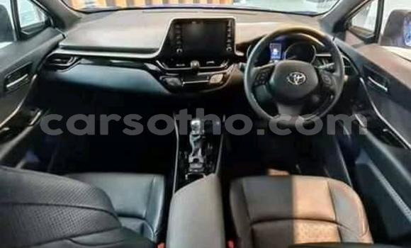 Acheter Occasion Voiture Toyota RAV4 Noir à Maseru, Maseru Acheter Occasion Voiture Toyota RAV4 Noir à Maseru, Maseru