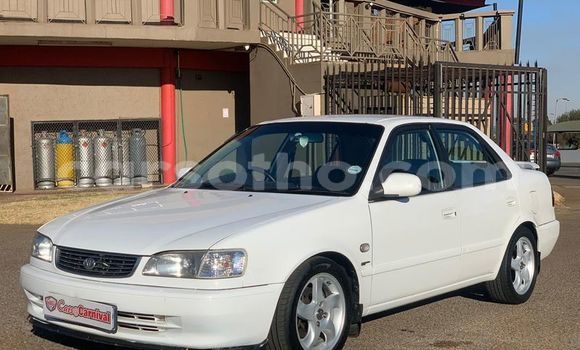 اشتري مستعمل Toyota Corolla White سيارة في Hlotse في Leribe اشتري مستعمل Toyota Corolla White سيارة في Hlotse في Leribe