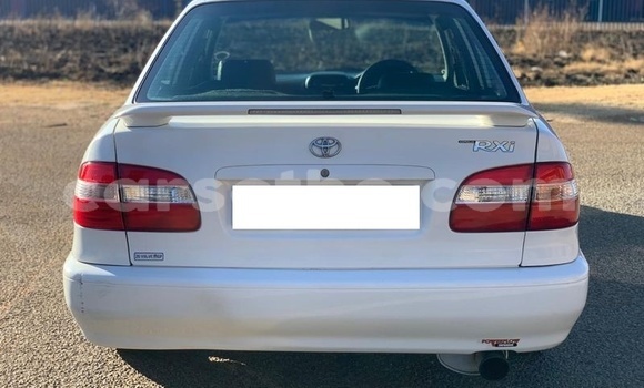 اشتري مستعمل Toyota Corolla White سيارة في Hlotse في Leribe اشتري مستعمل Toyota Corolla White سيارة في Hlotse في Leribe