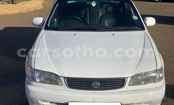 اشتري مستعمل Toyota Corolla White سيارة في Hlotse في Leribe اشتري مستعمل Toyota Corolla White سيارة في Hlotse في Leribe