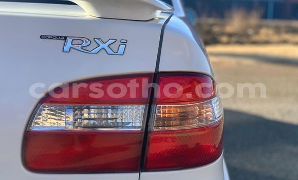 اشتري مستعمل Toyota Corolla White سيارة في Hlotse في Leribe اشتري مستعمل Toyota Corolla White سيارة في Hlotse في Leribe