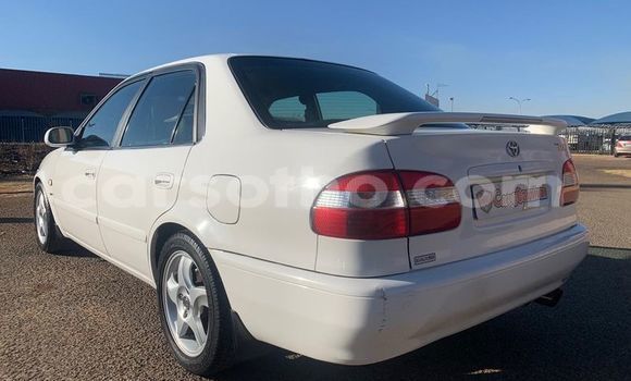اشتري مستعمل Toyota Corolla White سيارة في Hlotse في Leribe اشتري مستعمل Toyota Corolla White سيارة في Hlotse في Leribe
