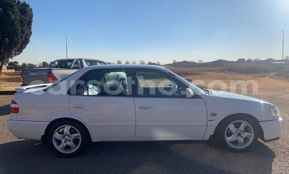 اشتري مستعمل Toyota Corolla White سيارة في Hlotse في Leribe اشتري مستعمل Toyota Corolla White سيارة في Hlotse في Leribe