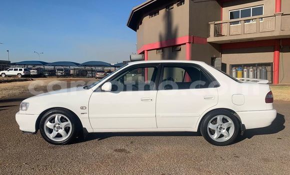 اشتري مستعمل Toyota Corolla White سيارة في Hlotse في Leribe اشتري مستعمل Toyota Corolla White سيارة في Hlotse في Leribe
