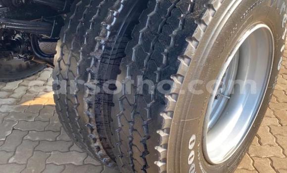 Acheter Occasion Utilitaire Isuzu FTR 850 Blanc à Mafeteng, Mafeteng Acheter Occasion Utilitaire Isuzu FTR 850 Blanc à Mafeteng, Mafeteng