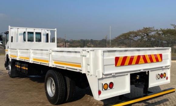 Acheter Occasion Utilitaire Isuzu FTR 850 Blanc à Mafeteng, Mafeteng Acheter Occasion Utilitaire Isuzu FTR 850 Blanc à Mafeteng, Mafeteng