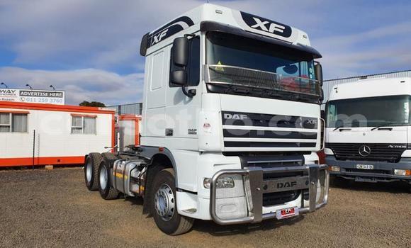 اشتري مستعمل DAF CF White شاحنة في Mafeteng في Mafeteng اشتري مستعمل DAF CF White شاحنة في Mafeteng في Mafeteng