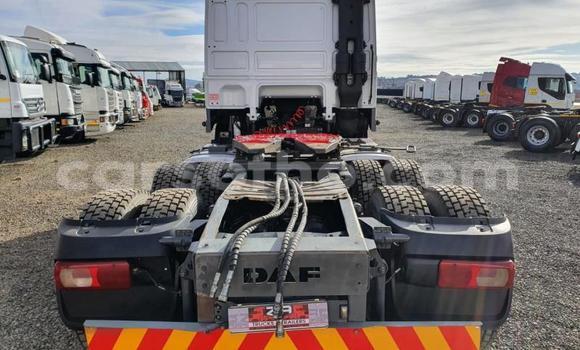 اشتري مستعمل DAF CF White شاحنة في Mafeteng في Mafeteng اشتري مستعمل DAF CF White شاحنة في Mafeteng في Mafeteng