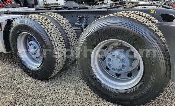 اشتري مستعمل DAF CF White شاحنة في Mafeteng في Mafeteng اشتري مستعمل DAF CF White شاحنة في Mafeteng في Mafeteng