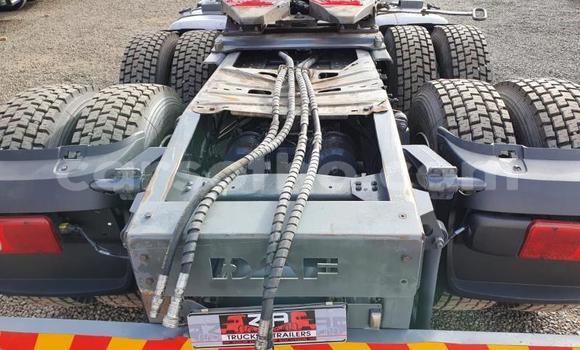 اشتري مستعمل DAF CF White شاحنة في Mafeteng في Mafeteng اشتري مستعمل DAF CF White شاحنة في Mafeteng في Mafeteng