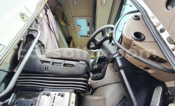 اشتري مستعمل DAF CF White شاحنة في Mafeteng في Mafeteng اشتري مستعمل DAF CF White شاحنة في Mafeteng في Mafeteng