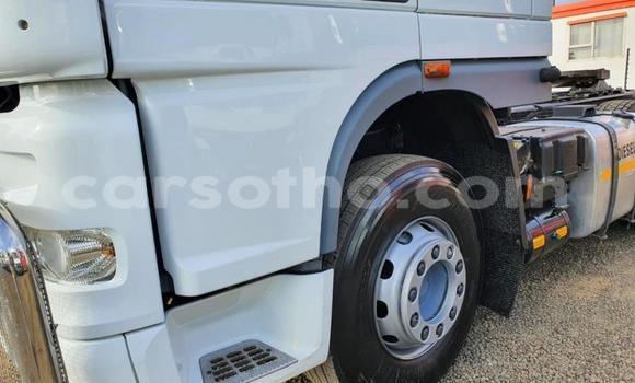 اشتري مستعمل DAF CF White شاحنة في Mafeteng في Mafeteng اشتري مستعمل DAF CF White شاحنة في Mafeteng في Mafeteng