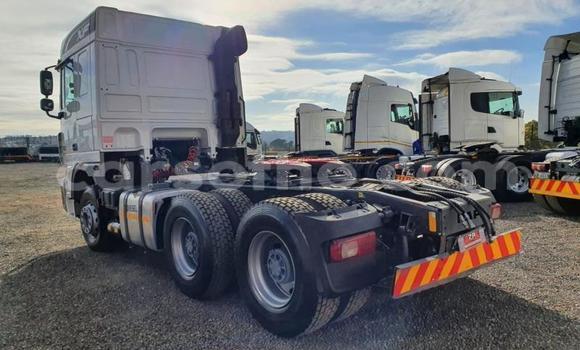 اشتري مستعمل DAF CF White شاحنة في Mafeteng في Mafeteng اشتري مستعمل DAF CF White شاحنة في Mafeteng في Mafeteng