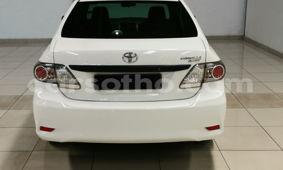 Sayi Na hannu Toyota Corolla White Mota in Teyateyaneng a Berea Sayi Na hannu Toyota Corolla White Mota in Teyateyaneng a Berea