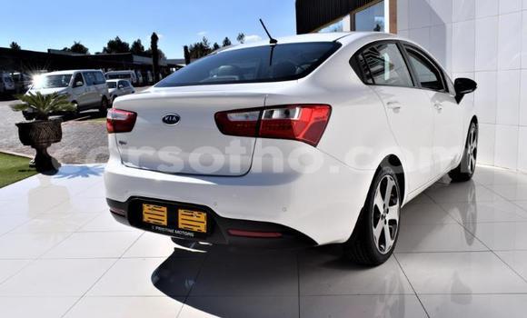 اشتري مستعمل Kia Rio White سيارة في Maputsoa في Leribe اشتري مستعمل Kia Rio White سيارة في Maputsoa في Leribe
