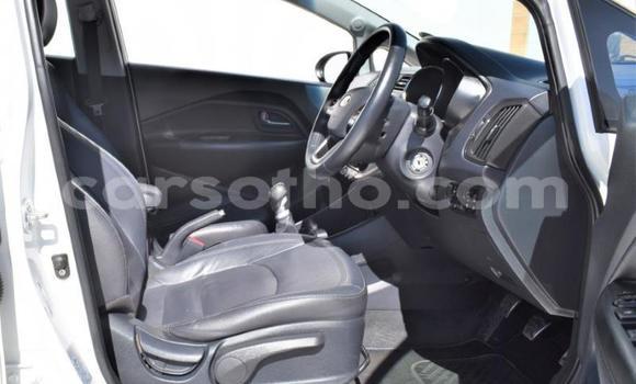 اشتري مستعمل Kia Rio White سيارة في Maputsoa في Leribe اشتري مستعمل Kia Rio White سيارة في Maputsoa في Leribe