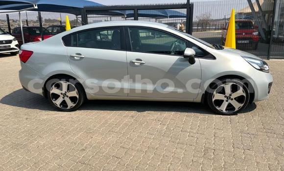Buy Used Kia Rio Silver Car in Maseru in Maseru Buy Used Kia Rio Silver Car in Maseru in Maseru