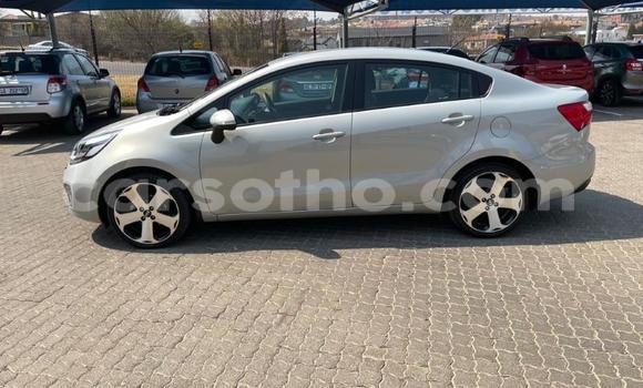 Buy Used Kia Rio Silver Car in Maseru in Maseru Buy Used Kia Rio Silver Car in Maseru in Maseru