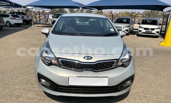 Buy Used Kia Rio Silver Car in Maseru in Maseru Buy Used Kia Rio Silver Car in Maseru in Maseru