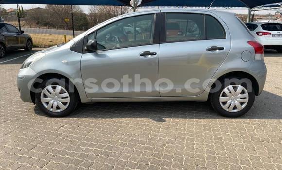 Buy Used Toyota Yaris Silver Car in Maseru in Maseru Buy Used Toyota Yaris Silver Car in Maseru in Maseru