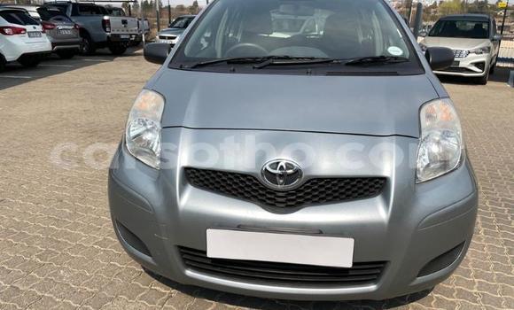 Buy Used Toyota Yaris Silver Car in Maseru in Maseru Buy Used Toyota Yaris Silver Car in Maseru in Maseru