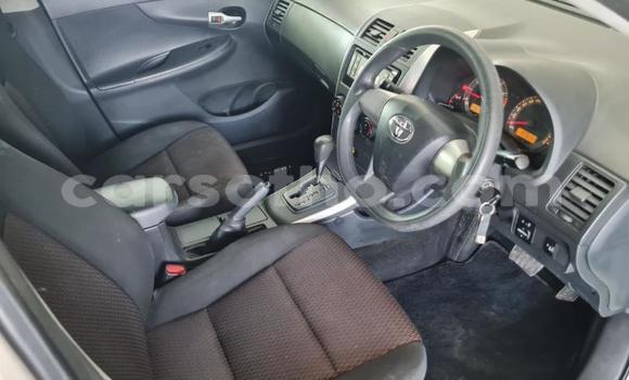 اشتري مستعمل Toyota Corolla White سيارة في Hlotse في Leribe اشتري مستعمل Toyota Corolla White سيارة في Hlotse في Leribe
