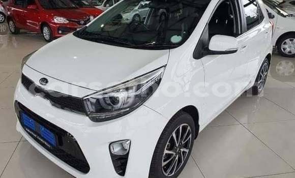 Sayi Na hannu Kia Picanto White Mota in Maseru a Maseru Sayi Na hannu Kia Picanto White Mota in Maseru a Maseru