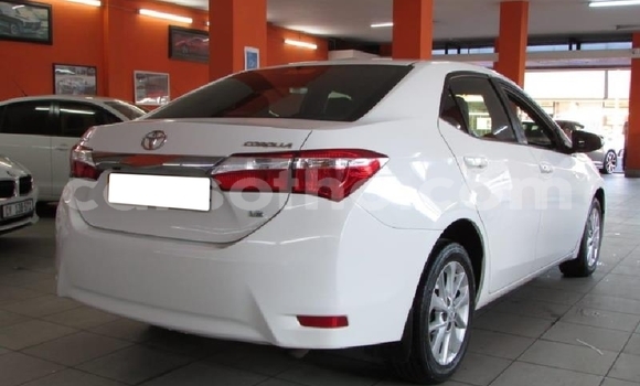 Sayi Na hannu Toyota Hilux White Mota in Butha–Buthe a Thaba-Tseka Sayi Na hannu Toyota Hilux White Mota in Butha–Buthe a Thaba-Tseka