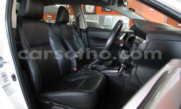 Sayi Na hannu Toyota Hilux White Mota in Butha–Buthe a Thaba-Tseka Sayi Na hannu Toyota Hilux White Mota in Butha–Buthe a Thaba-Tseka