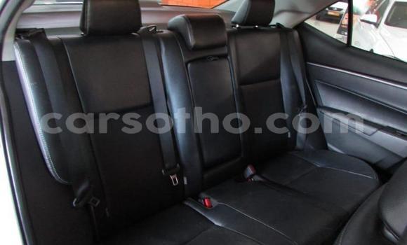 Sayi Na hannu Toyota Hilux White Mota in Butha–Buthe a Thaba-Tseka Sayi Na hannu Toyota Hilux White Mota in Butha–Buthe a Thaba-Tseka