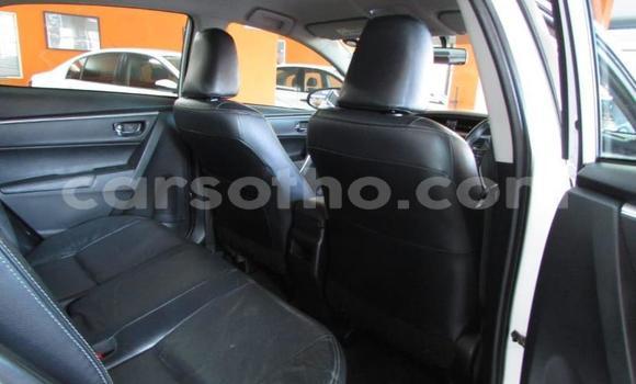 Sayi Na hannu Toyota Hilux White Mota in Butha–Buthe a Thaba-Tseka Sayi Na hannu Toyota Hilux White Mota in Butha–Buthe a Thaba-Tseka