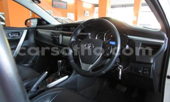 Sayi Na hannu Toyota Hilux White Mota in Butha–Buthe a Thaba-Tseka Sayi Na hannu Toyota Hilux White Mota in Butha–Buthe a Thaba-Tseka