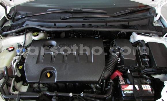 Sayi Na hannu Toyota Hilux White Mota in Butha–Buthe a Thaba-Tseka Sayi Na hannu Toyota Hilux White Mota in Butha–Buthe a Thaba-Tseka