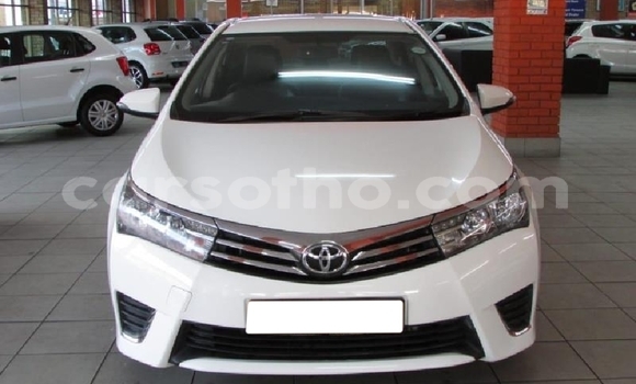 Sayi Na hannu Toyota Hilux White Mota in Butha–Buthe a Thaba-Tseka Sayi Na hannu Toyota Hilux White Mota in Butha–Buthe a Thaba-Tseka