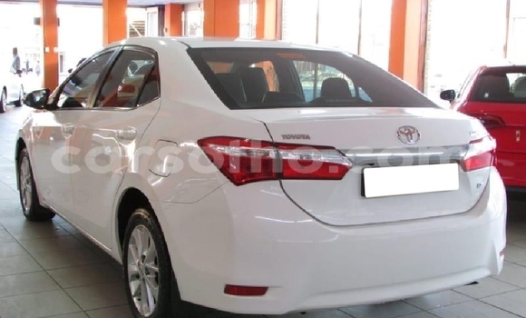 Sayi Na hannu Toyota Hilux White Mota in Butha–Buthe a Thaba-Tseka Sayi Na hannu Toyota Hilux White Mota in Butha–Buthe a Thaba-Tseka