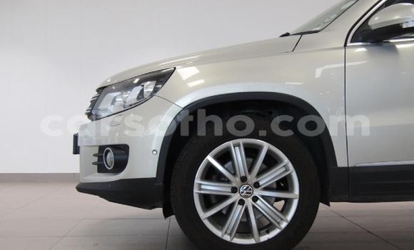 اشتري مستعمل Volkswagen Tiguan Silver سيارة في Butha Buthe في Butha-Buthe اشتري مستعمل Volkswagen Tiguan Silver سيارة في Butha Buthe في Butha-Buthe