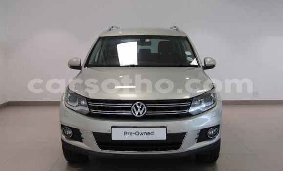 اشتري مستعمل Volkswagen Tiguan Silver سيارة في Butha Buthe في Butha-Buthe اشتري مستعمل Volkswagen Tiguan Silver سيارة في Butha Buthe في Butha-Buthe