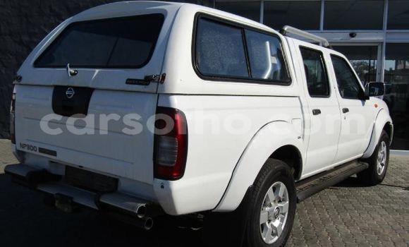 اشتري مستعمل Nissan NP 300 White سيارة في Butha Buthe في Butha-Buthe اشتري مستعمل Nissan NP 300 White سيارة في Butha Buthe في Butha-Buthe