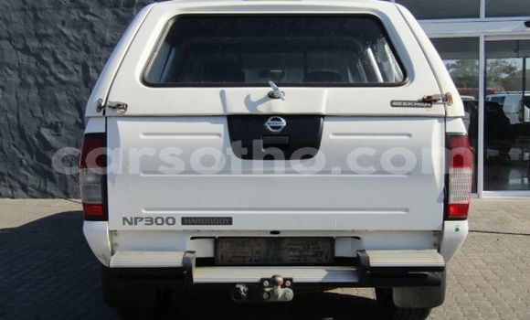 اشتري مستعمل Nissan NP 300 White سيارة في Butha Buthe في Butha-Buthe اشتري مستعمل Nissan NP 300 White سيارة في Butha Buthe في Butha-Buthe