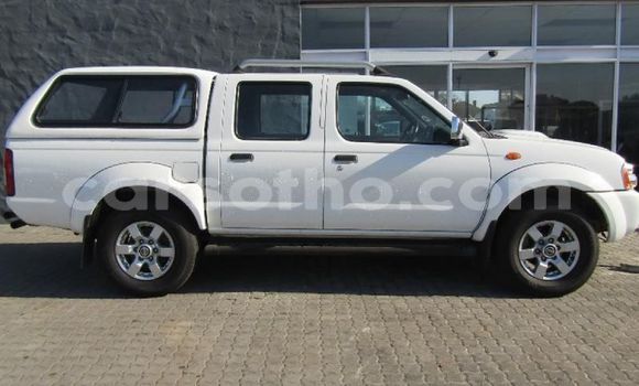 اشتري مستعمل Nissan NP 300 White سيارة في Butha Buthe في Butha-Buthe اشتري مستعمل Nissan NP 300 White سيارة في Butha Buthe في Butha-Buthe
